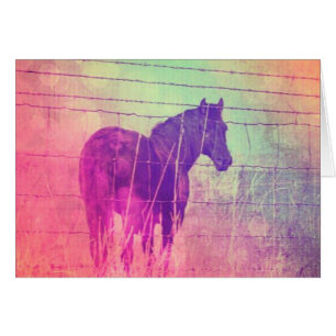 Dreaming of Horses