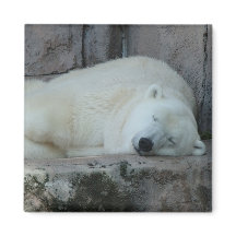 Dreaming of Icebergs