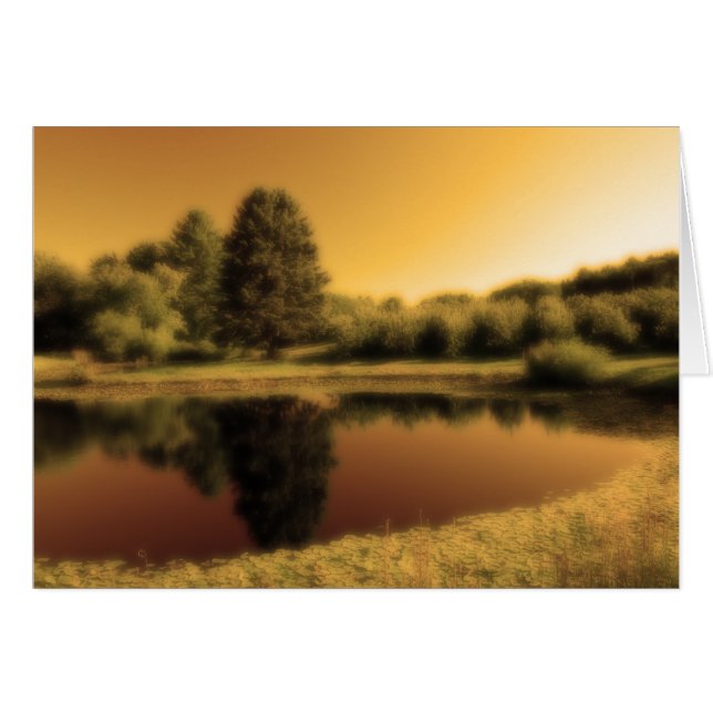 Dreaming Of Summer (Front Horizontal)