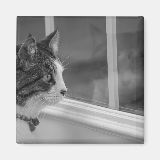 Dreaming Of Warmer Weather Grayscale Magnet (Front)
