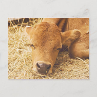 Dreaming of you... postcard