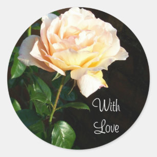 'Dreaming Spires' Rose Stickers