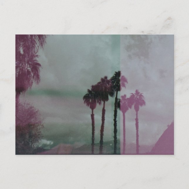 Dreaming Technicolor Palm Trees Postcard (Front)