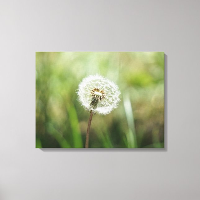 dreams canvas print (Front)