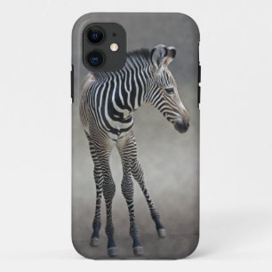 Dreams in Black and White iPhone 5 Case-Mate Case