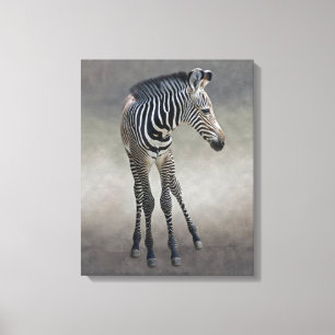 Dreams in Black and White Wrapped Canvas Print
