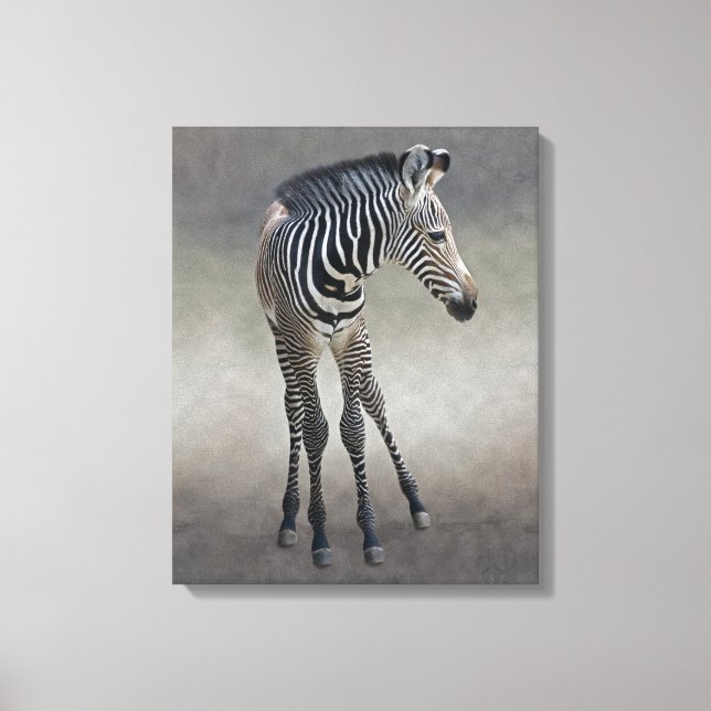 Dreams in Black and White Wrapped Canvas Print (Front)
