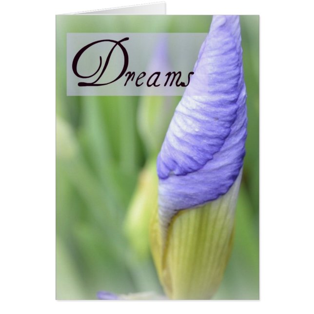 Dreams- Purple Iris Card (Front)