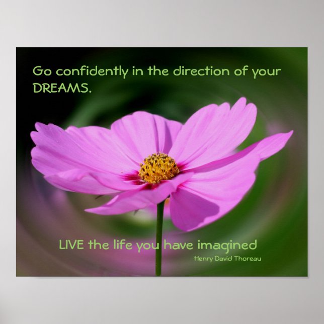 Dreams Quote Cosmos Flower Inspirational Poster (Front)