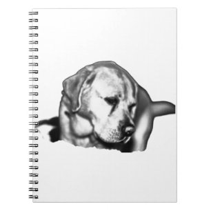 Dreamscape Reflections Notebook