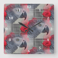 Dreamy African Grey with Red Roses