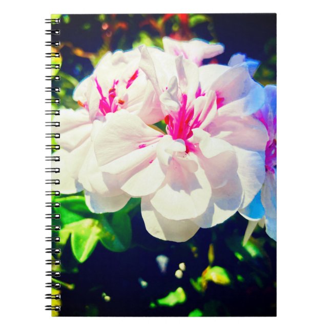 Dreamy Blooms Notebook  (Front)