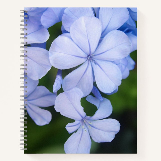 Dreamy Botanical Sparkle Background Notebook (Front)