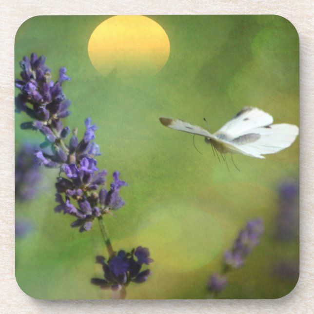Dreamy Butterfly Garden Coaster (Front)