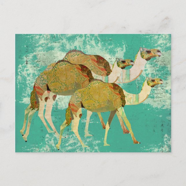 Dreamy Camels  Postcard (Front)