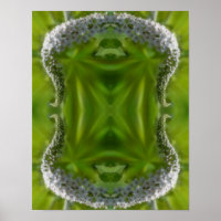 Dreamy Curling White Wildflower Abstract