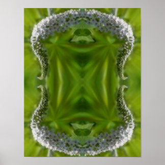 Dreamy Curling White Wildflower Abstract Poster