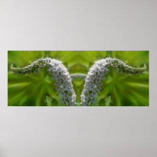 Dreamy Curling White Wildflower Mirror Abstract  Poster