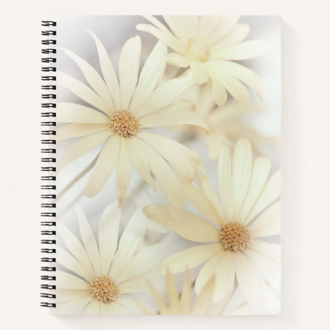 'Dreamy Daisies 2' Notebook (Front)