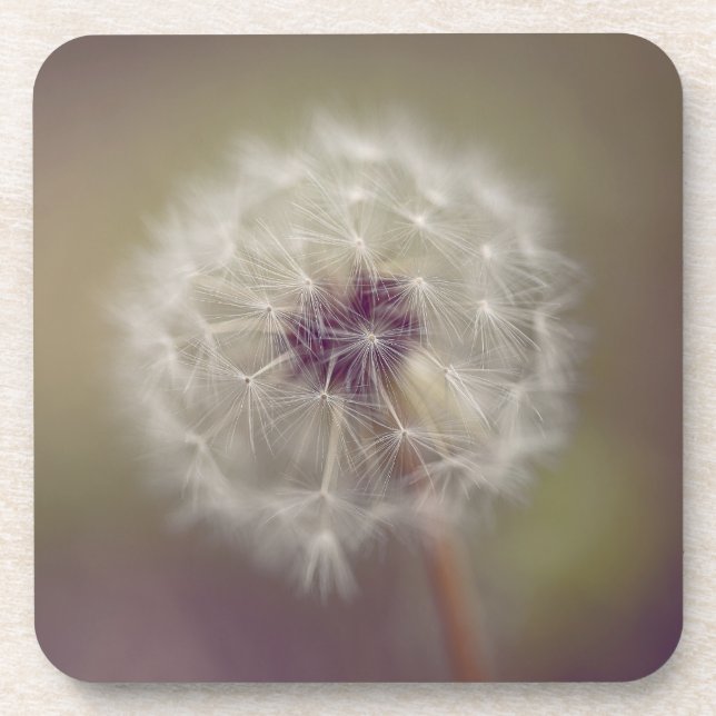 Dreamy Dandelion Art Hard plastic coaster 01 (Front)