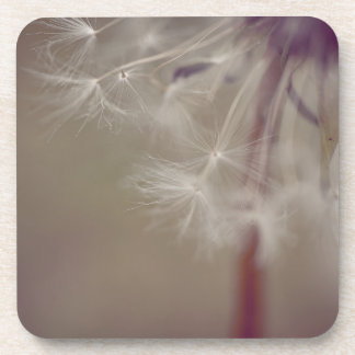 Dreamy Dandelion Art Hard plastic coaster 02