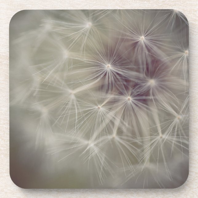 Dreamy Dandelion Art Hard plastic coaster 04 (Front)