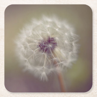 Dreamy Dandelion Art Paper Coaster 01