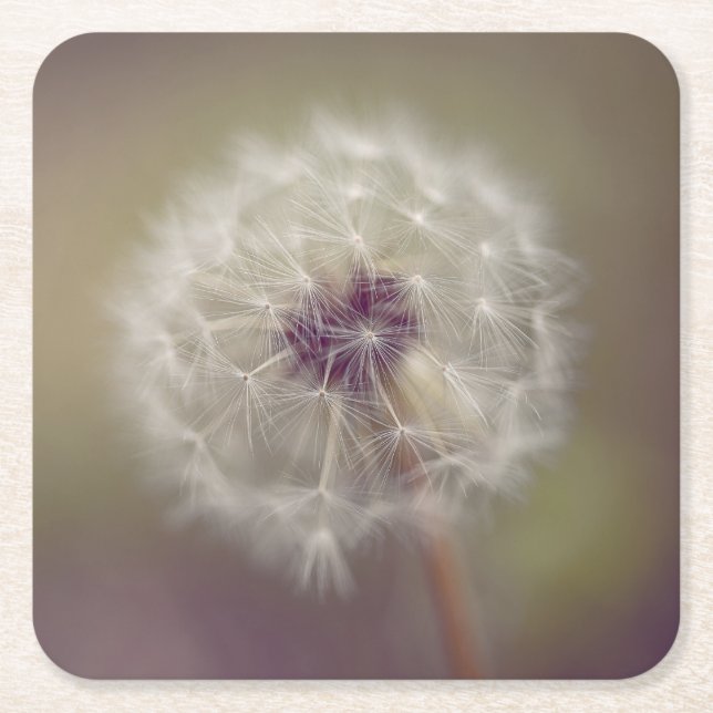 Dreamy Dandelion Art Paper Coaster 01 (Front)