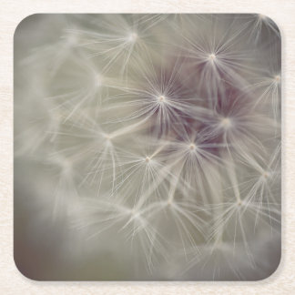 Dreamy Dandelion Art Paper Coaster 04