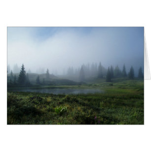 Dreamy Day