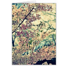 Dreamy Explosion (Blank Inside)