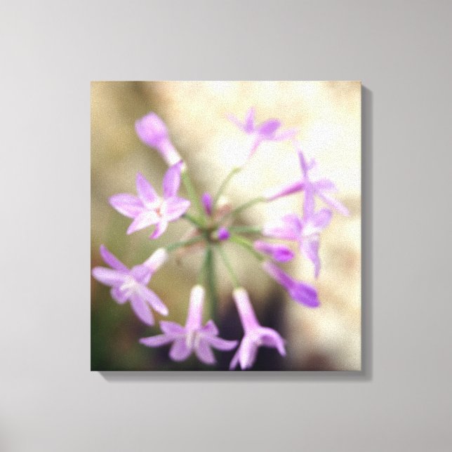 Dreamy Flora Canvas Print (Front)