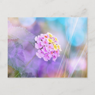 Dreamy Flower Postcard