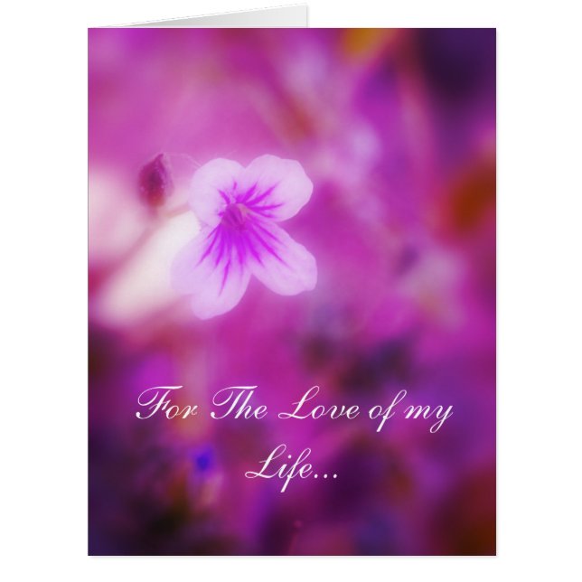 Dreamy For The Love of my Life (Front)