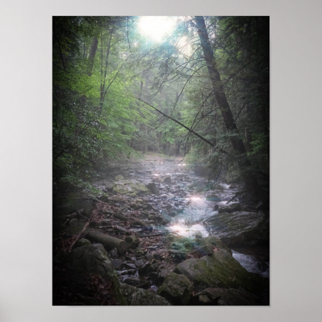 Dreamy Forest Light Poster (Front)