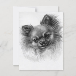 Dreamy - Hand Painted Chihuahua Artwork Postcard