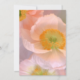 Dreamy Invitation