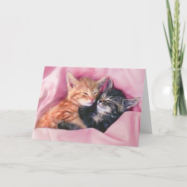 dreamy kittens greeting card (Front)