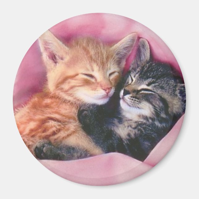 dreamy kittens magnet (Front)