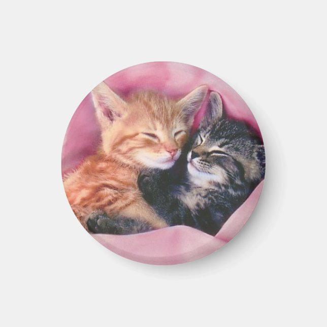 dreamy kittens magnet (Front)