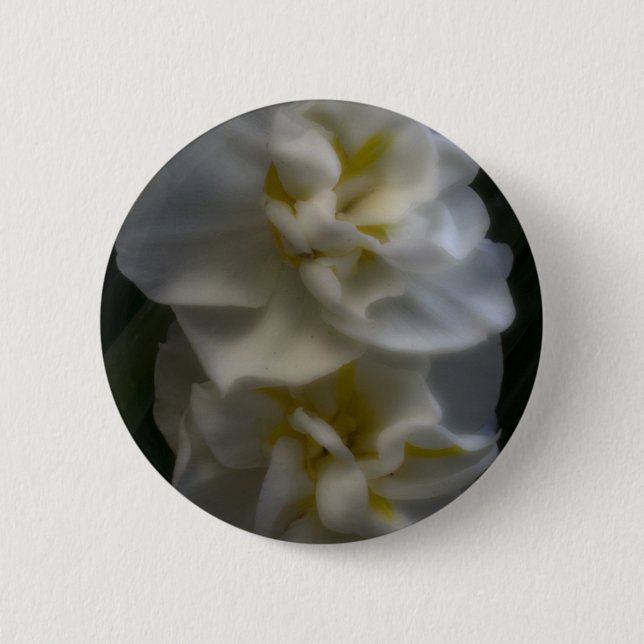 Dreamy Narcissus Daffodils 6 Cm Round Badge (Front)