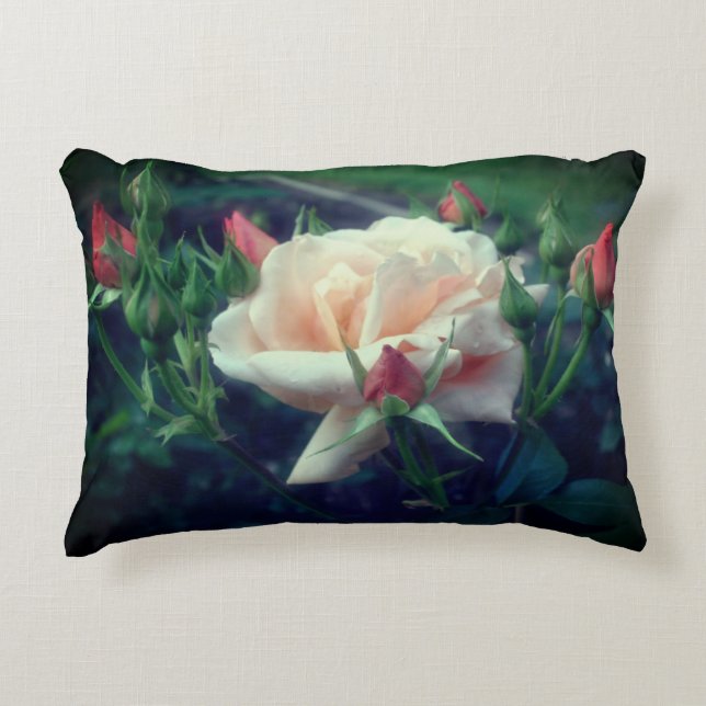 Dreamy Peach Rose And Buds   Decorative Cushion (Front)