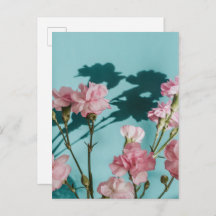 Dreamy pink carnation flowers on blue background