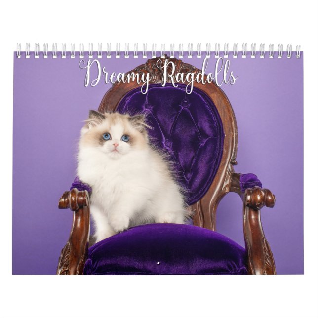 Dreamy Ragdoll Cats and Kittens Calendar (Cover)