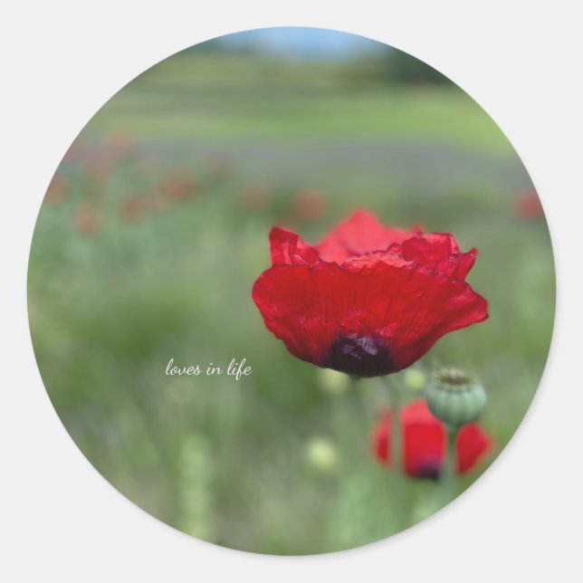 Dreamy Red Poppy Classic Round Sticker (Front)