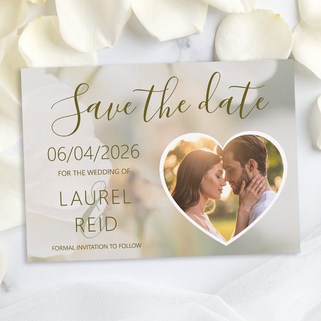 Dreamy Romantic White Rose Petal Flower Background Save The Date (Creator Uploaded)