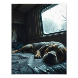 Dreamy RV Dog Nap Photo Print