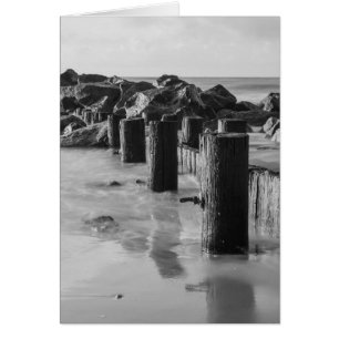 Dreamy Seawall Grayscale
