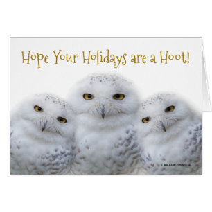 Dreamy Snowy Owls Christmas Family Have a Hoot