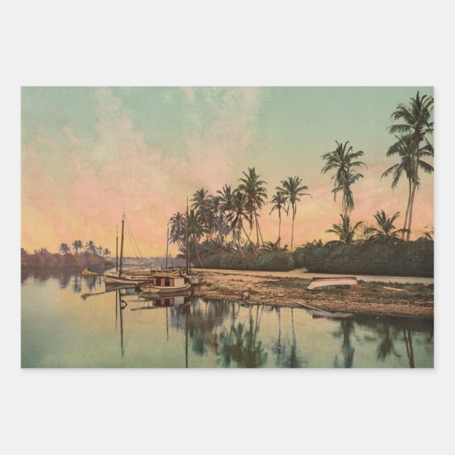 Dreamy Vintage Florida Scene Wrapping Paper Sheet (Front)